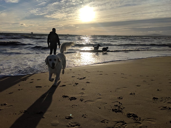 Huntington Dog Beach.